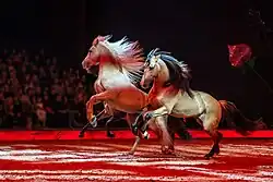 Photographie de chevaux dans les tons rouges, courant sur une piste de cirque devant un public.