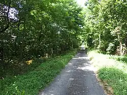 Saint Just-sur-Loire, chemin des canaux secs, le long du Furens (avant le pont ancien).