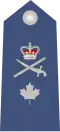 Canada Air Force, Brigadier général