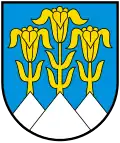 Blason de Blumenstein