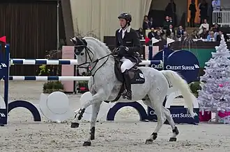 Le Mecklembourgeois Principal 12 monté par Martin Fuchs au CHI de Genève 2013