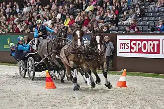 Image illustrative de l’article Tomas Eriksson