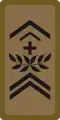OR-8 - Adjudant sous-officier