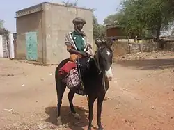 Cheval noir vu de face monté par un homme africain portant un turban.