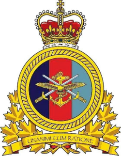 Image illustrative de l’article Commandement des opérations interarmées du Canada