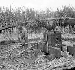 Pressoir artisanal pour la production de sucre, Indonésie, première moitié du XXe&nbsp;siècle.