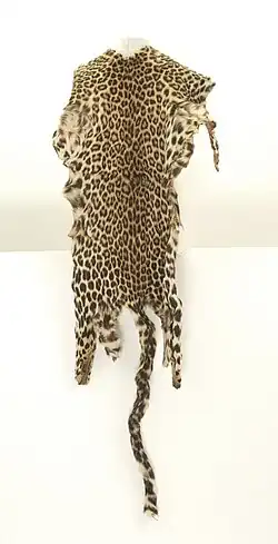 Peau de léopard portée sur les épaules
