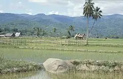 Vue de la vallée de Bada avec une statue mégalithique au premier plan
