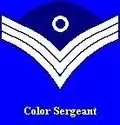 Color sergeant