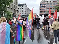 Des personnes de dos, avec divers drapeaux des fiertés portés comme des capes.