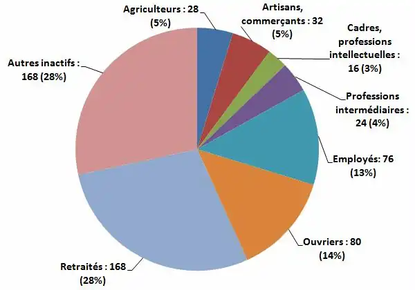 Catégories socio-professionnelles de la population de Liernais de 1999