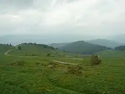 Plus bas la route des derniers kilomètres du col du Petit Ballon grimpé par les versants de Luttenbach et Wasserbourg.