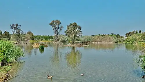 Cañada de los Pájaros