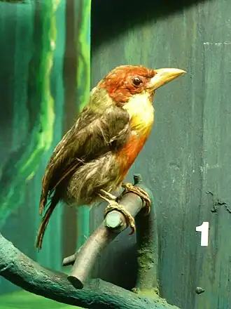 Description de cette image, également commentée ci-après