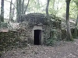 Caborne du Mont d'Or (Rhône).