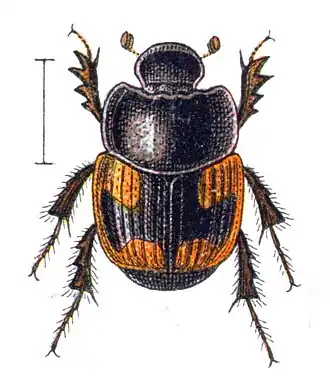 Description de cette image, également commentée ci-après