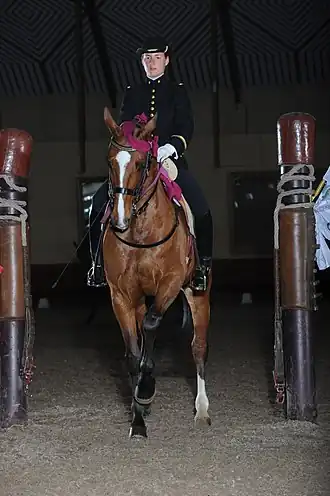 Image illustrative de l’article Équitation de tradition française