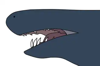 Description de l'image Caecilia abitaguae.png.