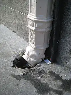 bouche inférieure en forme de dauphin d'un tuyau de descente se recourbant pour jeter les eaux dans le caniveau