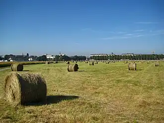 Fenaison sur la Prairie.