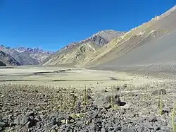 Canyon du Maipo