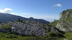 Rocher calcaire parcouru de cannelures.