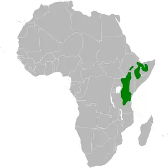 Description de cette image, également commentée ci-après