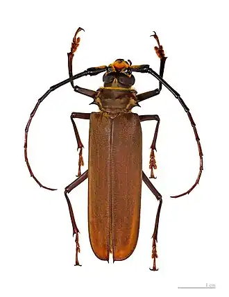 Description de cette image, également commentée ci-après