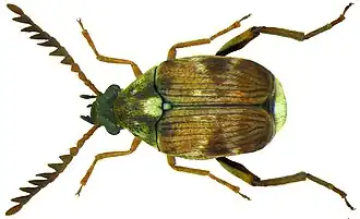 Description de cette image, également commentée ci-après