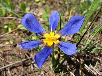 Description de cette image, également commentée ci-après