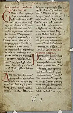 Une page de manuscrit rédigée sur deux colonnes à l'encre noire, avec de grandes initiales rouges au début de chaque paragraphe