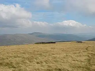 Vue de Camenabologue en arrière-plan.