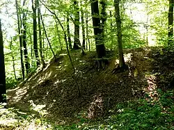 Détail du « camp romain » (origine controversée), à proximité de la voie romaine.