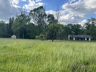 Vue partielle des vestiges en fond de parcelle.
