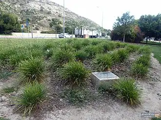 Mémorial du camp de concentration de Los Almendros, situé au nord de la ville.