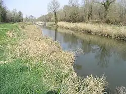 Une vue du canal en hiver.