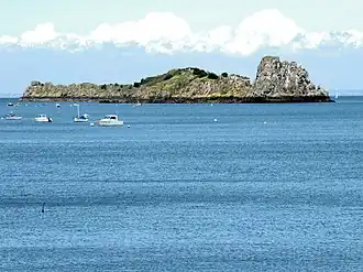 Île des Rimains en 2007.