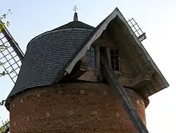 Partie supérieure et opposée à l'axe des ailes.