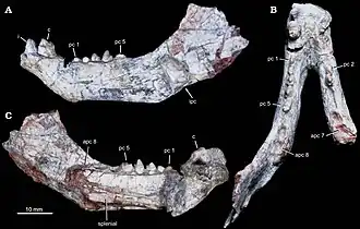 Description de cette image, également commentée ci-après