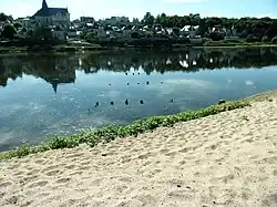 Photographie en couleurs d'alignements de pieux dans un cours d'eau.