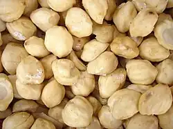 noix de bancoule fraiches.