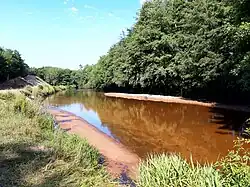 Bassin dessableur à Saint-Paul-en-Born.