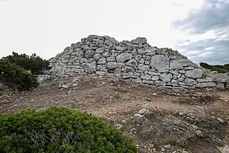 Image illustrative de l’article Caparrot de Forma