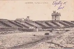 Plage et dune couverte de vignes, avec, en arrière plan, plusieurs bâtiments dont une tour d’observation.