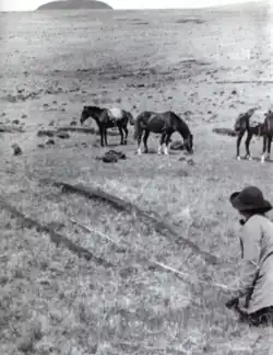 Photographie noire et blanc : au premier plan une personne en train de prendre les mesures de deux traces au sol. Au second plan trois chevaux portant des sacs. En arrière-plan une vaste plaine herbeuse et une montagne au loin.