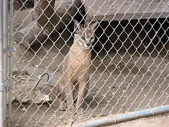 Description de cette image, également commentée ci-après