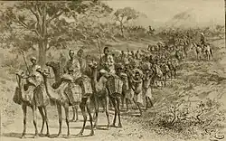 Caravane Haoussa transportant des noix de cola, région du lac Tchad vers 1895.