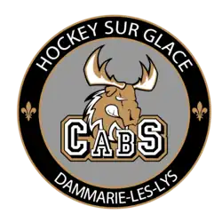 Description de l'image Caribous de Seine-et-Marne.png.