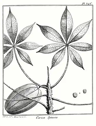 Description de cette image, également commentée ci-après