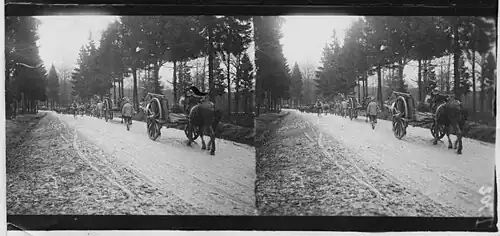 Carrefour de La Croix de Pierre : chemin des Romains, forêt d'Argonne.